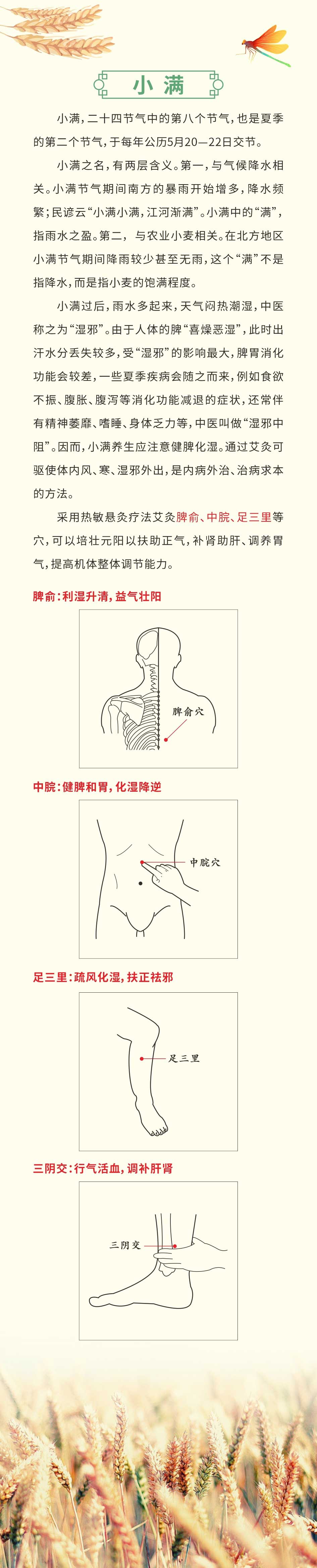小满2.jpg