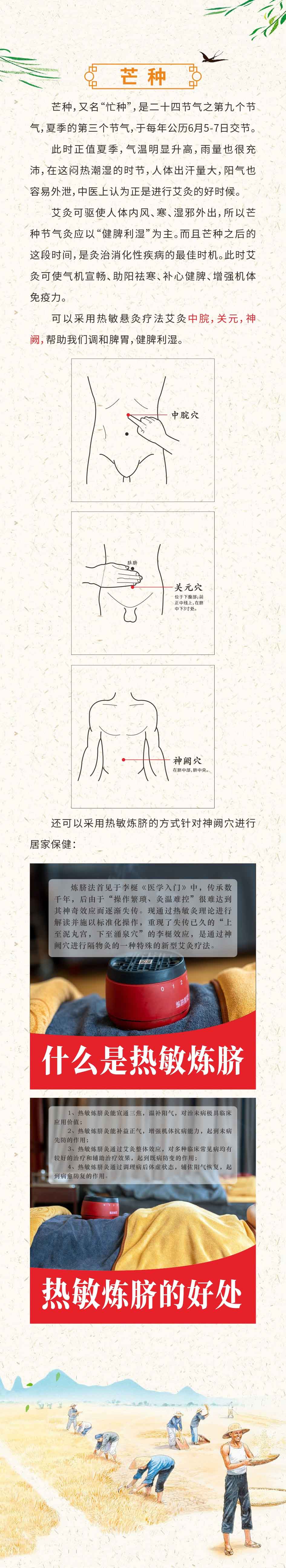 芒种3.jpg