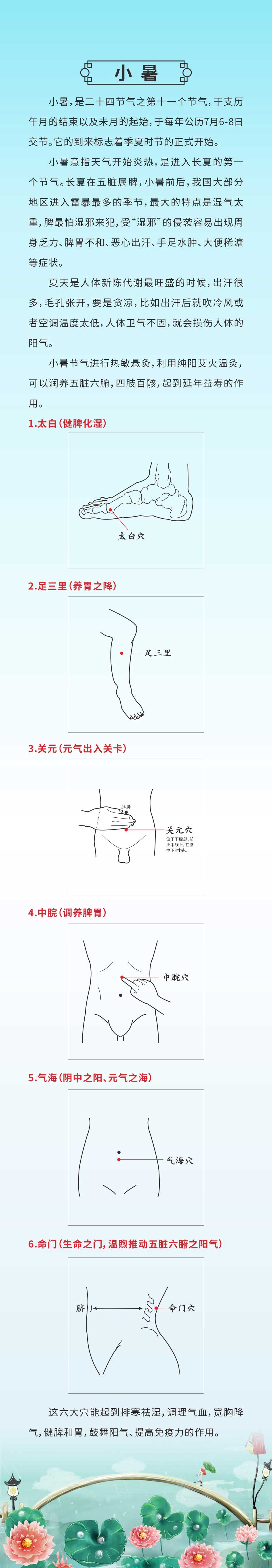 小暑5.jpg