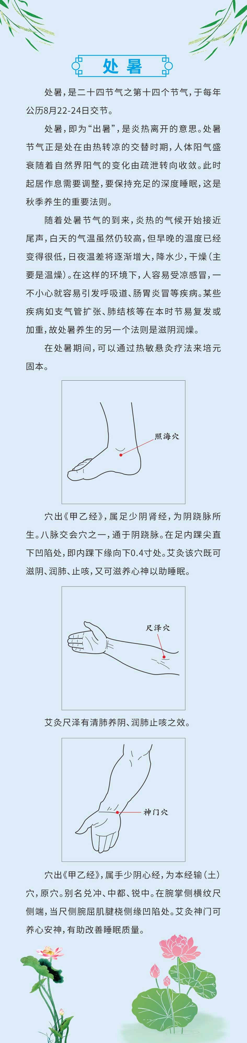 处暑2.jpg