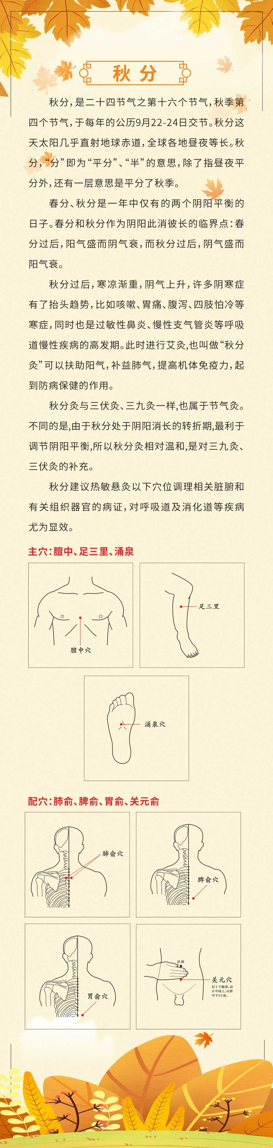 秋分4.jpg
