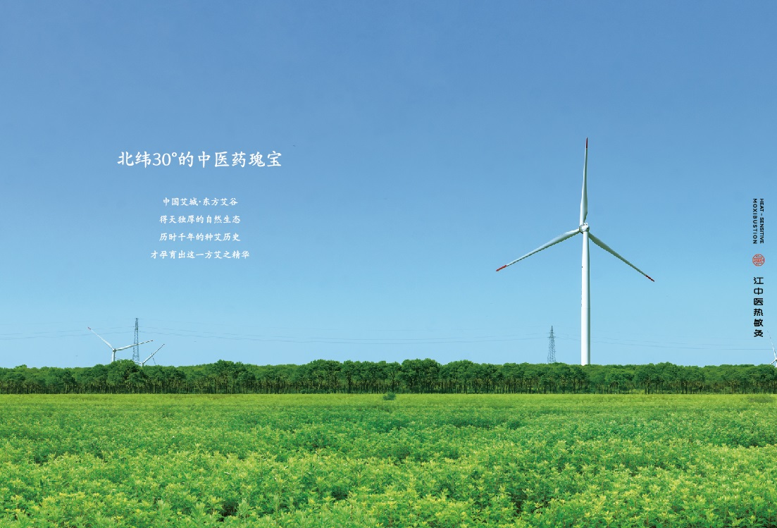 热敏灸健康臻礼画册-13.jpg