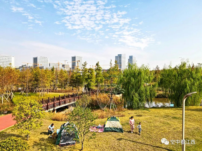 1668586195643054.jpg 1.jpg