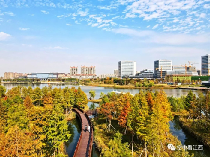 1668586200877999.jpg 2.jpg