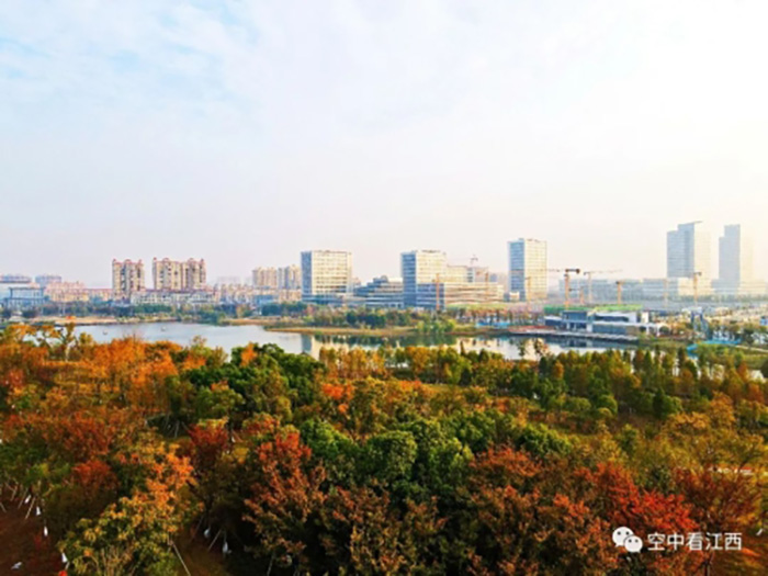 1668586204374195.jpg 3.jpg