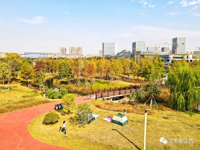 1668586209366188.jpg 4.jpg