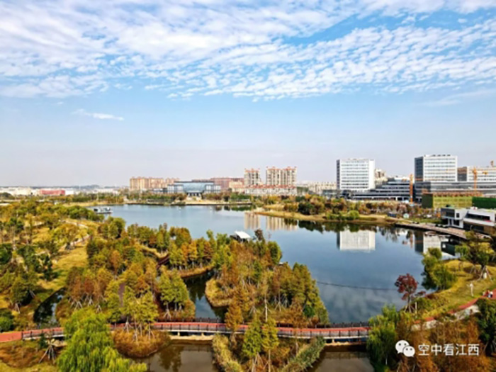 1668586213456141.jpg 5.jpg